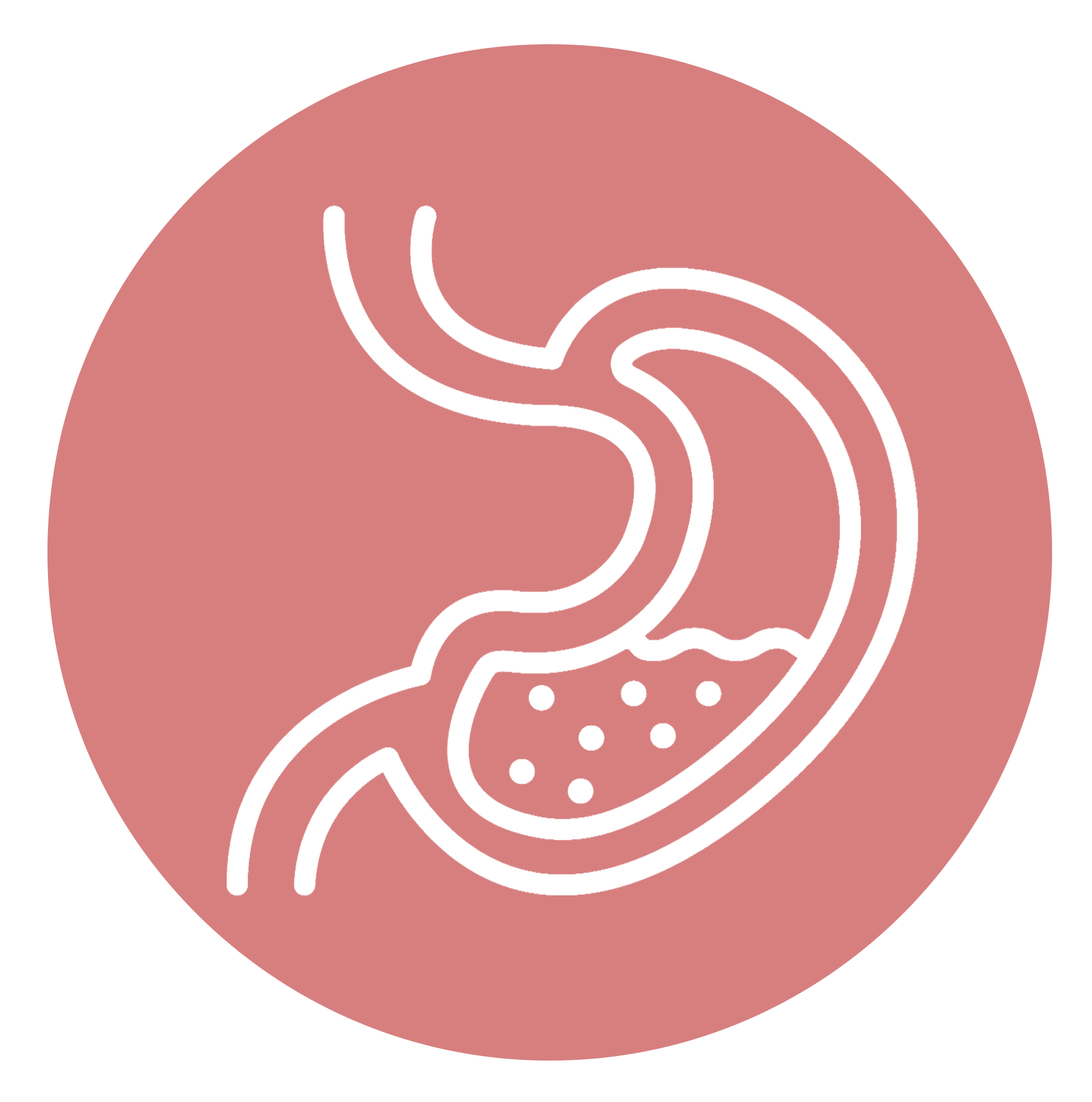 Abdominal and organ ultrasound service